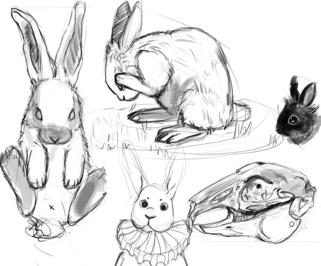 1061x878 Andreea Balcan On Twitter Some Old Bunny Sketches D - Rabbit Sketch Drawing