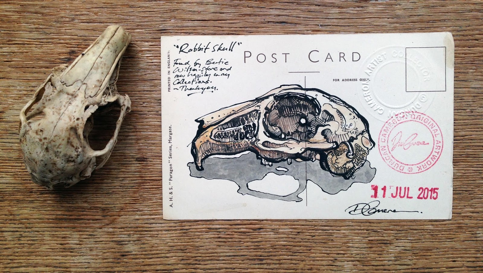 1600x905 Hedge Finders Drawing Rabbit Skull - Rabbit Skull Drawing