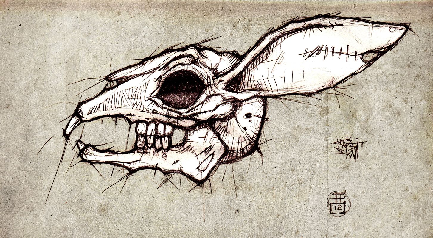 1453x800 Halloween Mask Studio Skull Sketch - Rabbit Skull Drawing
