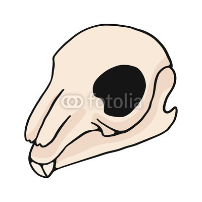 400x400 rabbit skull cartoon vector illustration motif set hand drawn - Rabbit Skull Drawing