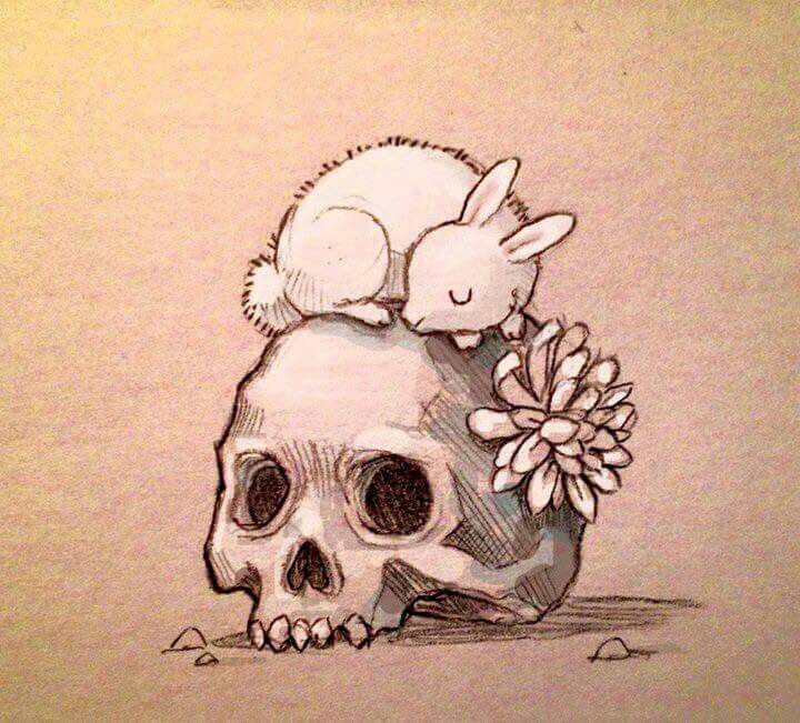 720x651 skull and sleeping bunny skull art obsession - Rabbit Skull Drawing