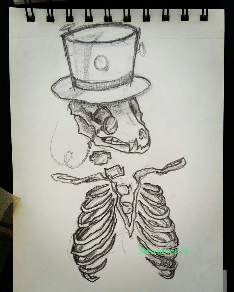 819x1024 Boney Rabbit Amino - Rabbit Skull Drawing