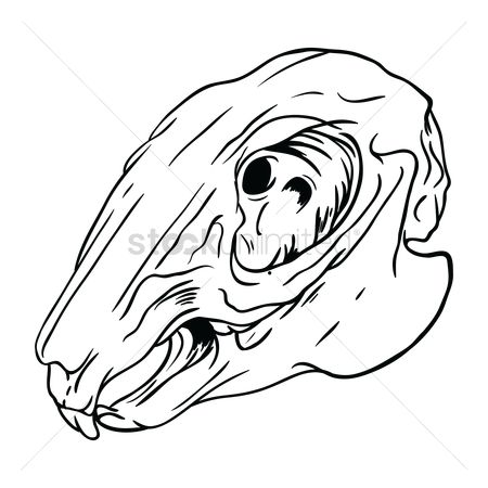 450x450 Free Rabbit Drawing Stock Vectors Stockunlimited - Rabbit Skull Drawing