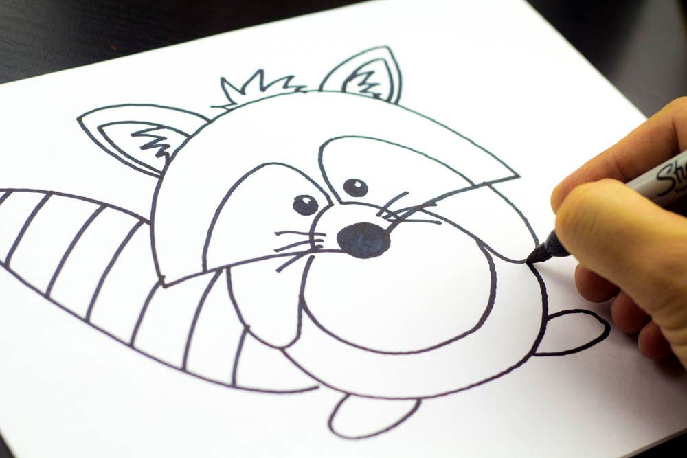 1000x667 how to draw a raccoon - Raccoon Cartoon Drawing