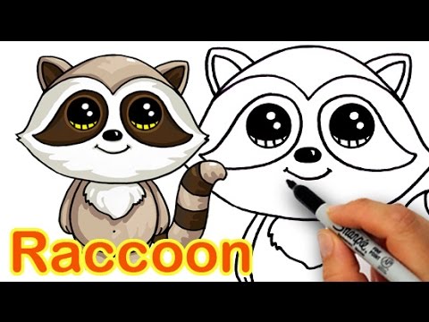 480x360 how to draw a cartoon raccoon cute and easy step - Raccoon Cartoon Drawing
