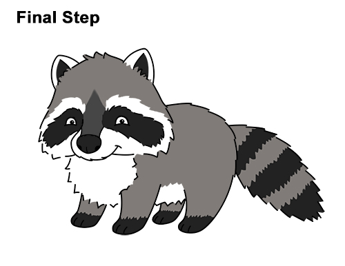 500x386 how to draw a raccoon - Raccoon Cartoon Drawing