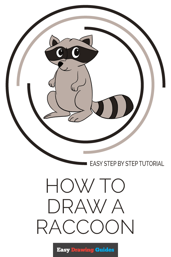 600x900 how to draw a raccoon - Raccoon Cartoon Drawing
