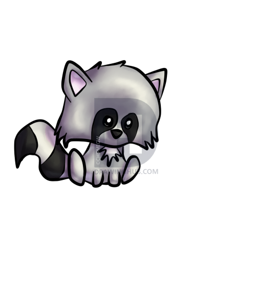 500x550 how to draw a cute raccoon, step - Raccoon Drawing