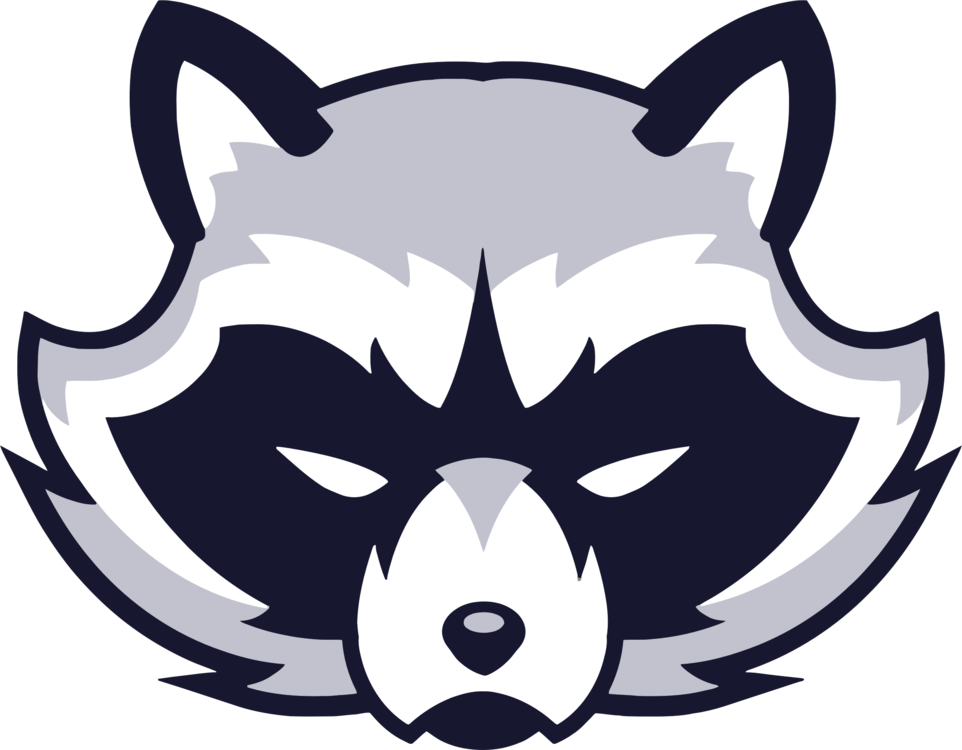 962x750 raccoon drawing animal cc0 - Raccoon Drawing