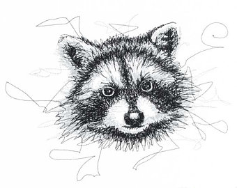 340x270 raccoon drawing etsy - Raccoon Drawing