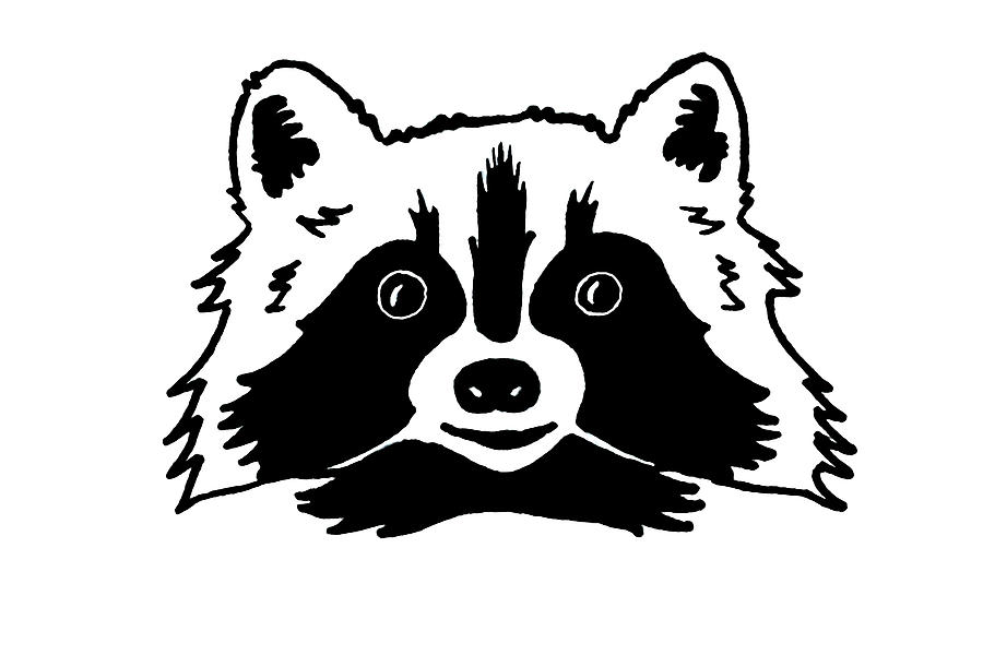 900x600 simple funny raccoon drawing - Raccoon Drawing