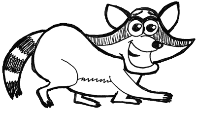 400x229 How To Draw Cartoon Raccoons With Easy Step - Raccoon Drawing Easy
