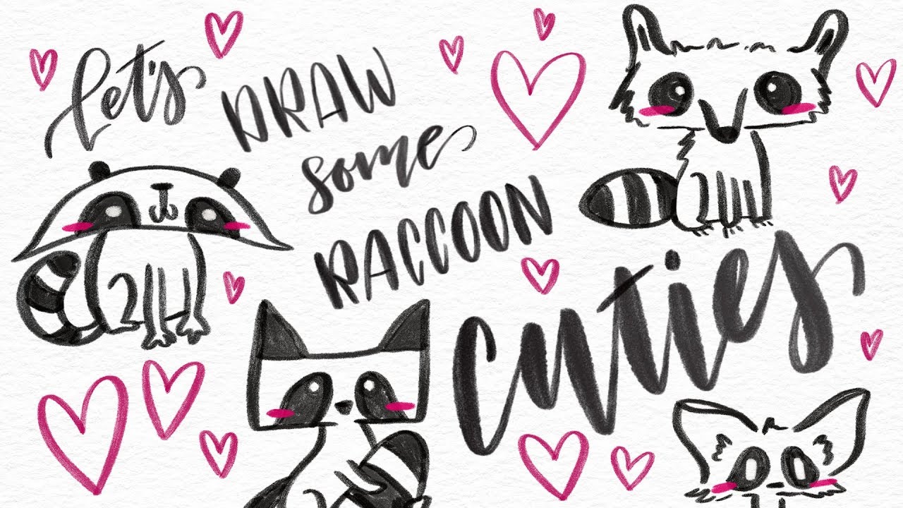 1280x720 how to draw a cute raccoon in ways! easy fun step - Raccoon Drawing Easy