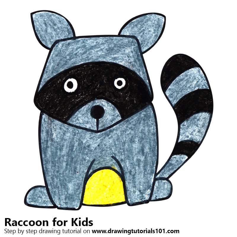 800x800 Learn How To Draw A Raccoon For Kids - Raccoon Drawing Easy