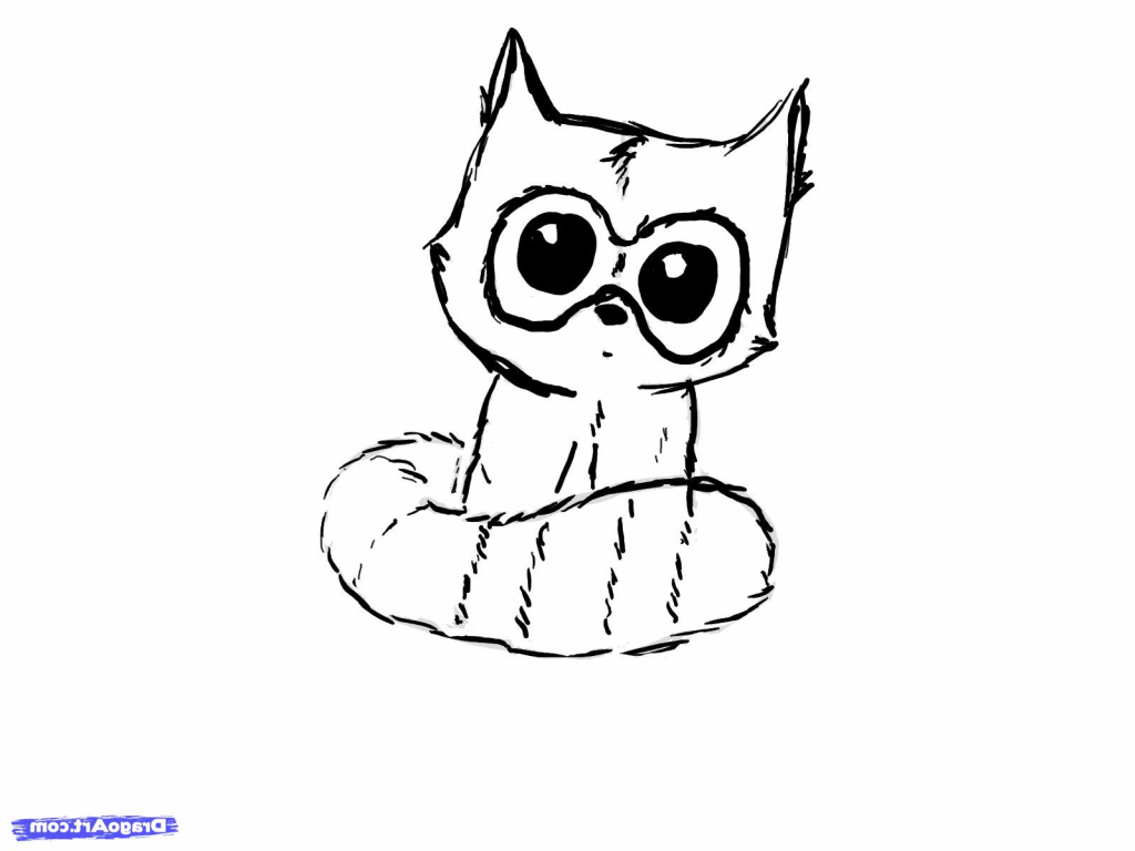 1024x768 raccoon drawing owl for free download - Raccoon Drawing Easy