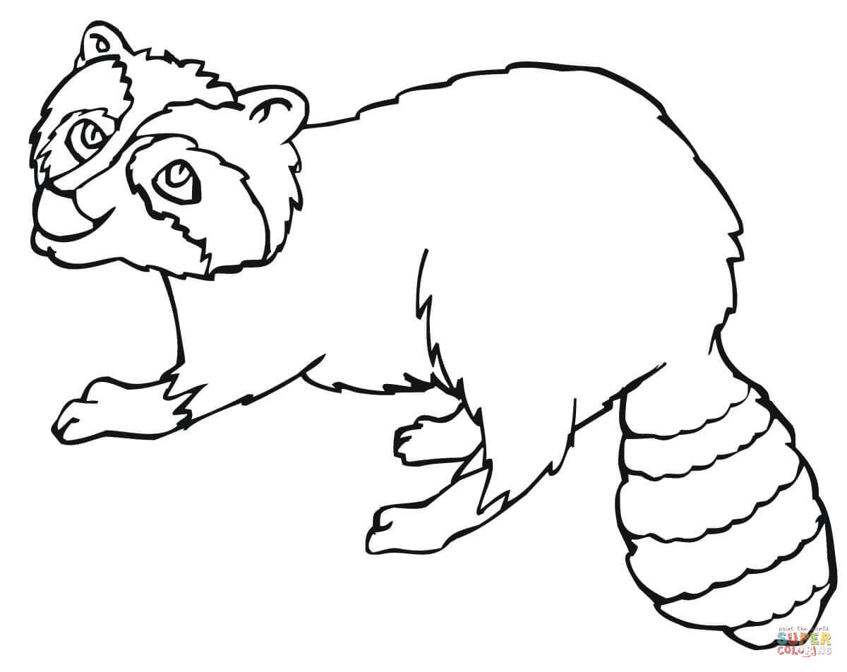 1200x952 Raccoon Drawing Easy Raccoons Coloring Pages Free Coloring Pages - Raccoon Drawing Easy