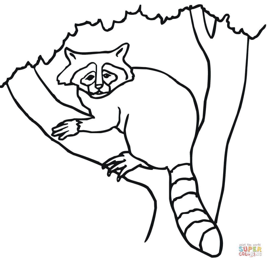 1120x1096 Raccoon Drawing Easy - Raccoon Drawing Easy