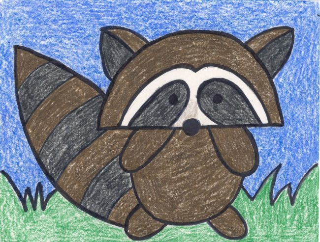 650x493 draw an easy raccoon art projects for kids - Raccoon Drawing Easy