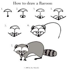 236x247 How To Draw A Realistic Raccoon Step - Raccoon Drawing Step By Step