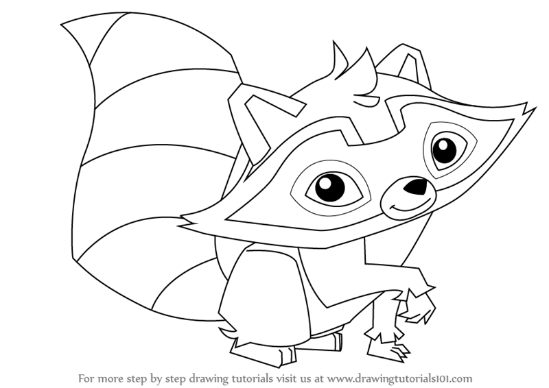 800x566 Learn How To Draw Raccoon From Animal Jam - Raccoon Drawing Step By Step