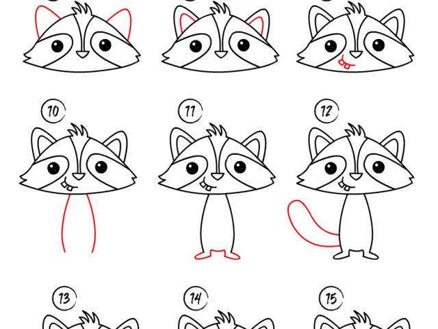 Raccoon Drawing Step By Step at PaintingValley.com | Explore collection ...