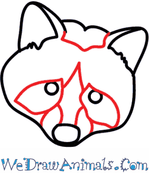 300x350 How To Draw A Raccoon Dog - Raccoon Face Drawing