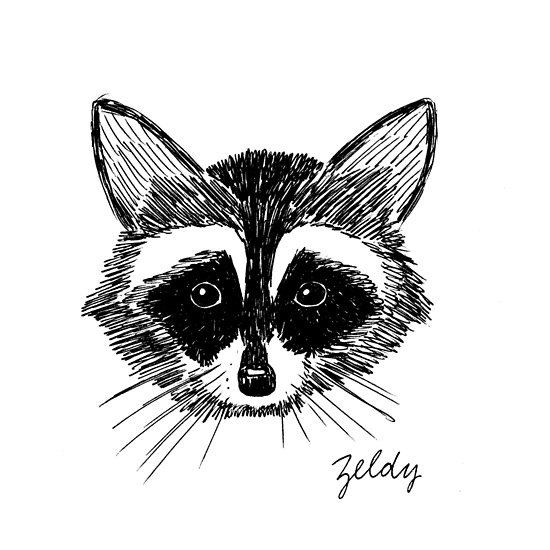 550x550 Raccoon Face On Grey Posters - Raccoon Face Drawing
