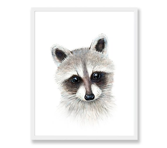 570x507 baby raccoon print woodland animal nursery print raccoon etsy - Raccoon Face Drawing