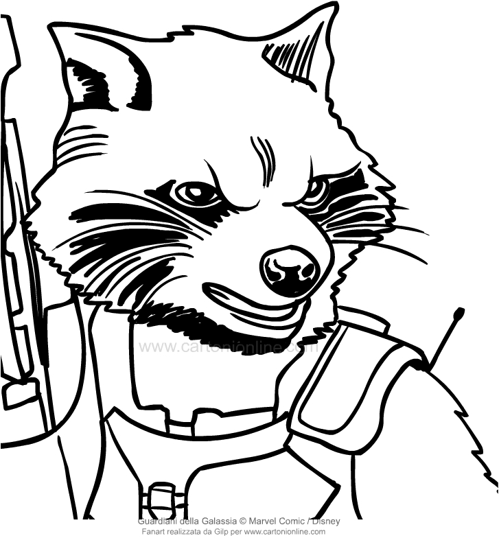 727x784 Drawing Rocket Raccoon - Raccoon Face Drawing