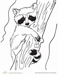 236x303 Drawn Raccoon Line - Raccoon Line Drawing