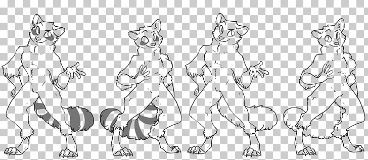 728x317 Free Base Drawing Art Homo Sapiens, Raccoon Png Clipart Free - Raccoon Line Drawing
