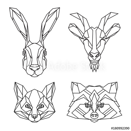500x500 Geometric Set Of Hare, Goat, Fox And Raccoon Vector Animal Heads - Raccoon Line Drawing