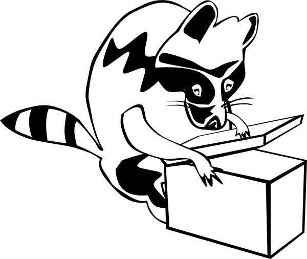 600x506 Raccoon Opening Box Clip Art - Raccoon Line Drawing