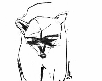 340x270 Raccoon Line Art Etsy - Raccoon Line Drawing