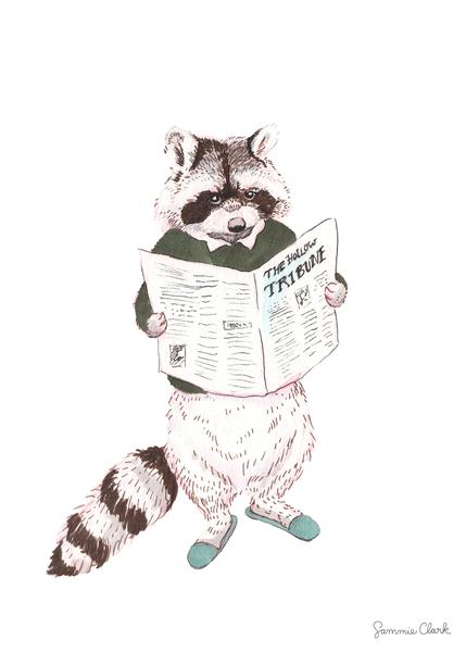 429x600 the tribune raccoon print sammie clark art - Raccoon Line Drawing