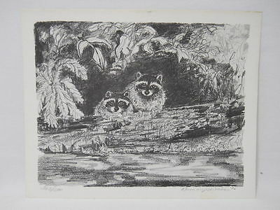 400x300 Vintage Rosemary Williams Raccoon Pencil Drawing X Art Print - Raccoon Pencil Drawing
