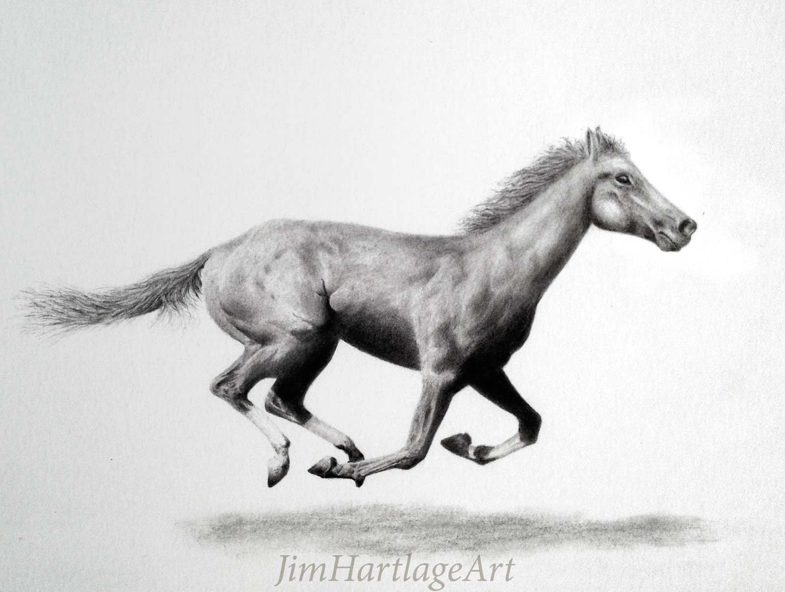 1600x1207 Jim Hartlage Art Race Horse - Race Horse Drawing