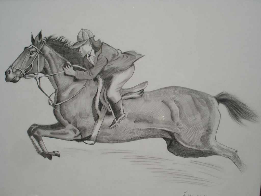 1024x768 sunil kattimani artwork race horse original drawing pen - Race Horse Drawing