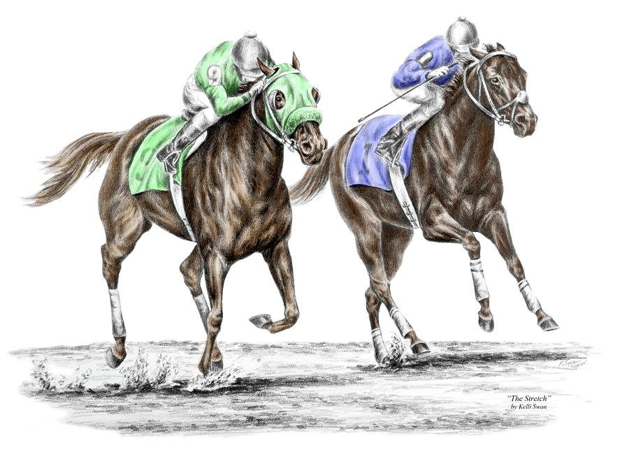 900x647 the stretch - Race Horse Drawing