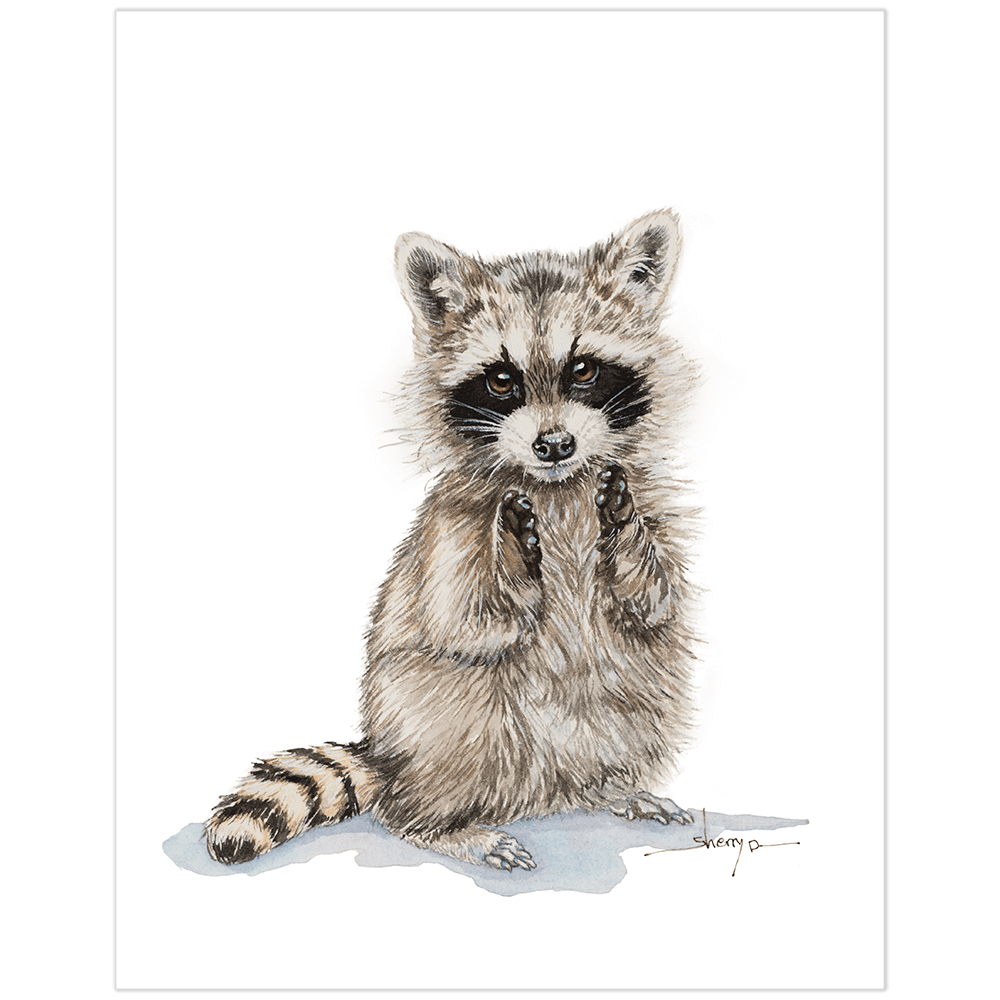 1000x1000 drawing raccoon sketch transparent png clipart free download - Racoon Drawing