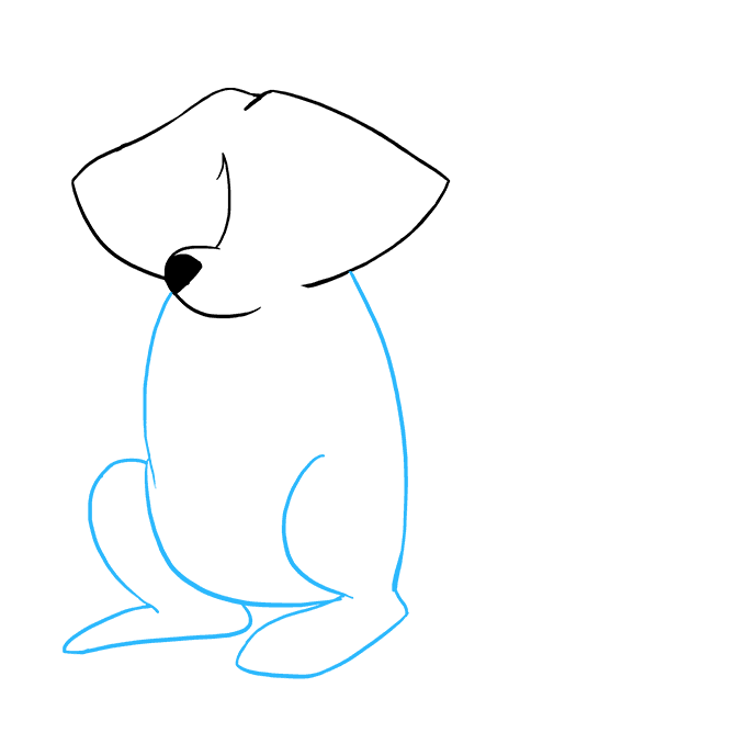 680x678 how to draw a raccoon - Racoon Drawing