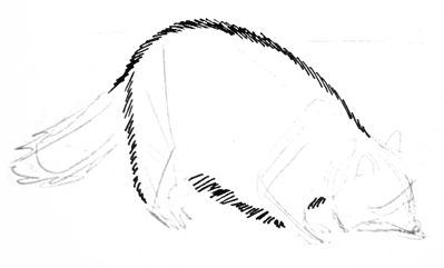 399x241 how to draw a raccoon - Racoon Drawing