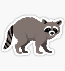 210x230 racoon drawing stickers redbubble - Racoon Drawing