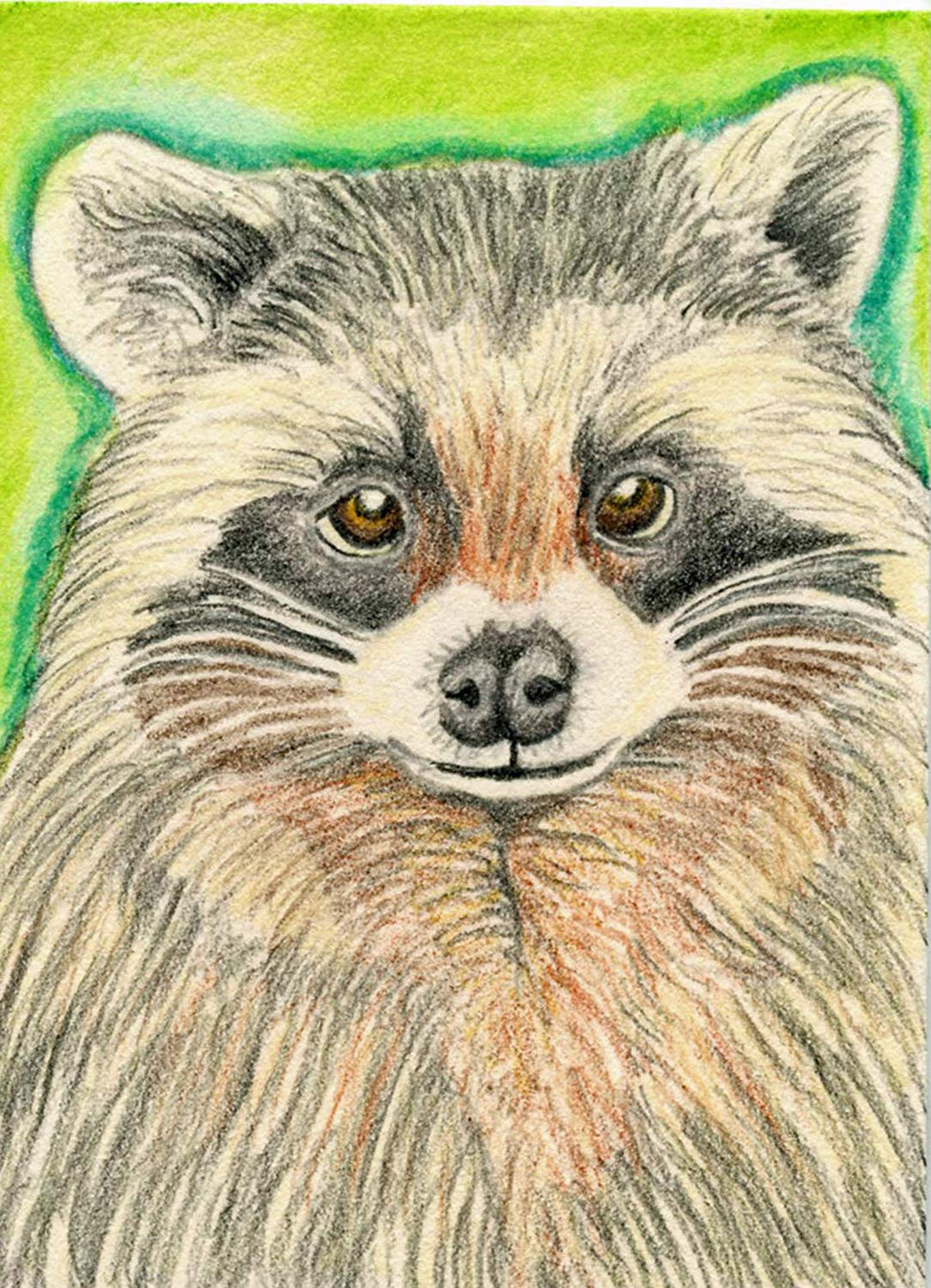 1084x1500 original drawing pencil painting raccoon racoon - Racoon Drawing