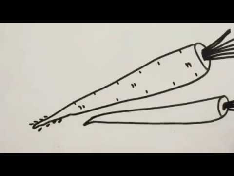 480x360 how to draw radish - Radish Drawing