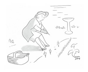 300x248 radish drawings fine art america - Radish Drawing