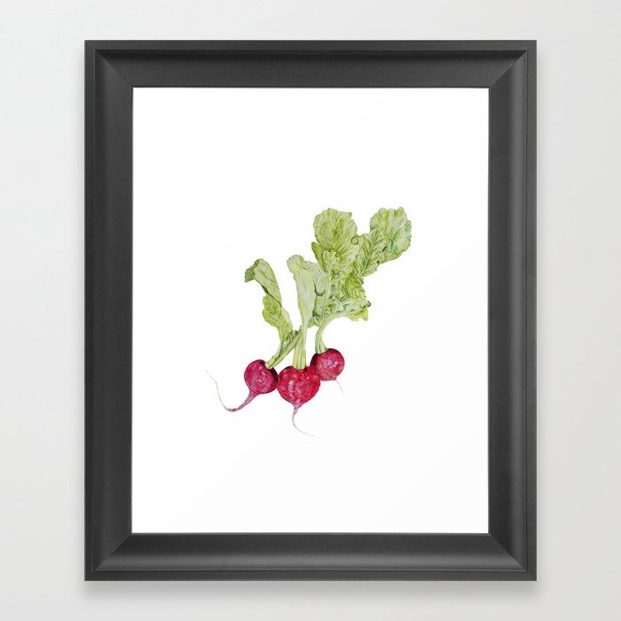 700x700 pencil drawing radish vegetable framed art print - Radish Drawing