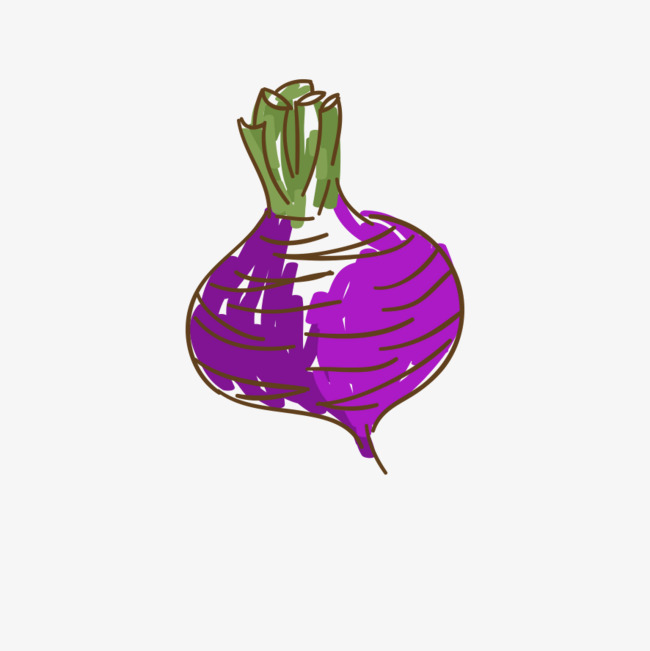 650x651 drawing radish, radish, watercolor, painted png image and clipart - Radish Drawing