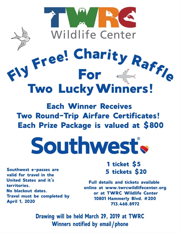 Raffle Drawing at Explore collection of Raffle Drawing