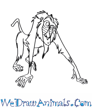 300x350 how to draw rafiki from the lion king - Rafiki Drawing